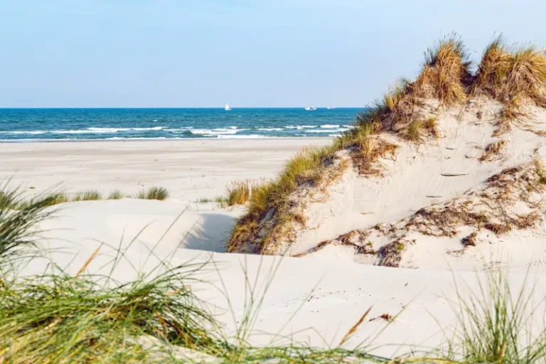 B a terschelling sand dunes beach sea jeroen berends