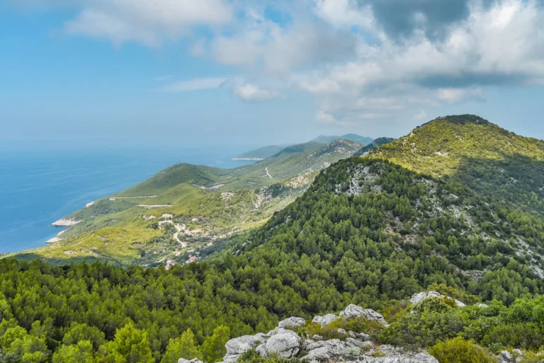 Croatian island Mljet view on coastline from mountain